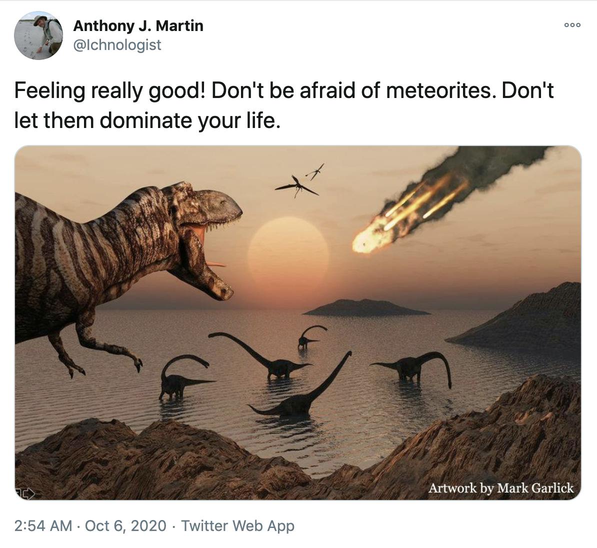 "Feeling really good! Don't be afraid of meteorites. Don't let them dominate your life." image of dinosaurs watching the meteorite fall over a lake as the sun sets