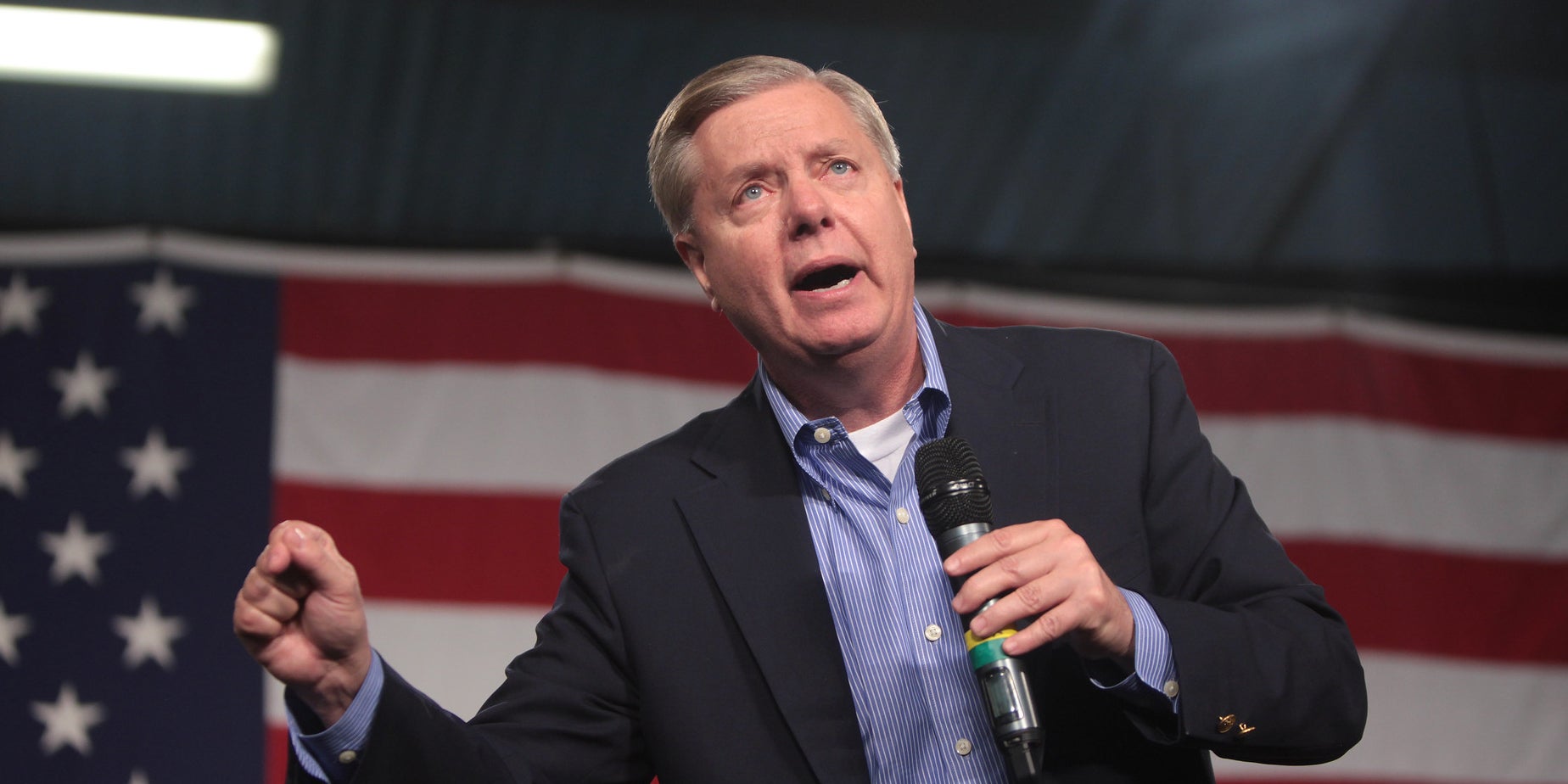 Lindsey Graham Wins South Carolina Senate Race