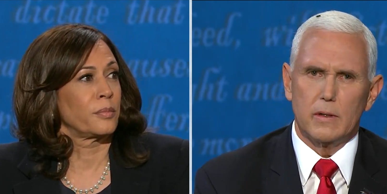 MIke Pence Fly: There Was a Fly On Pence's Head at the Debate