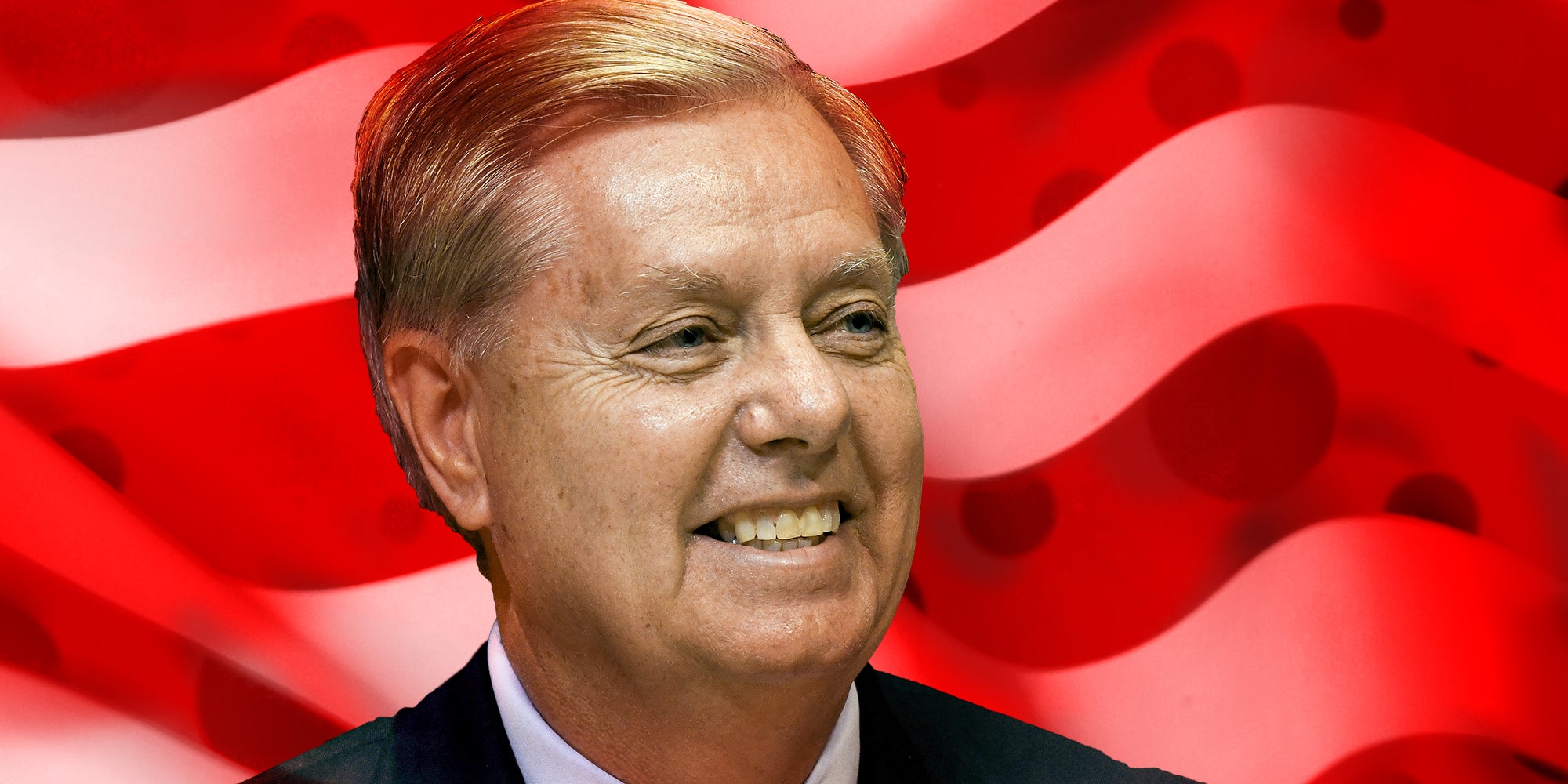 Lindsey Graham Wins South Carolina Senate Race