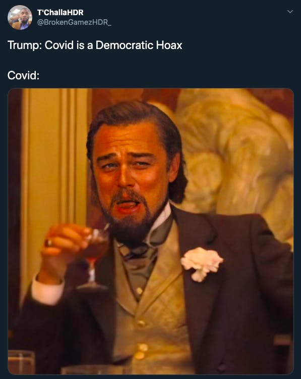 Trump gets COVID-19 memes Django
