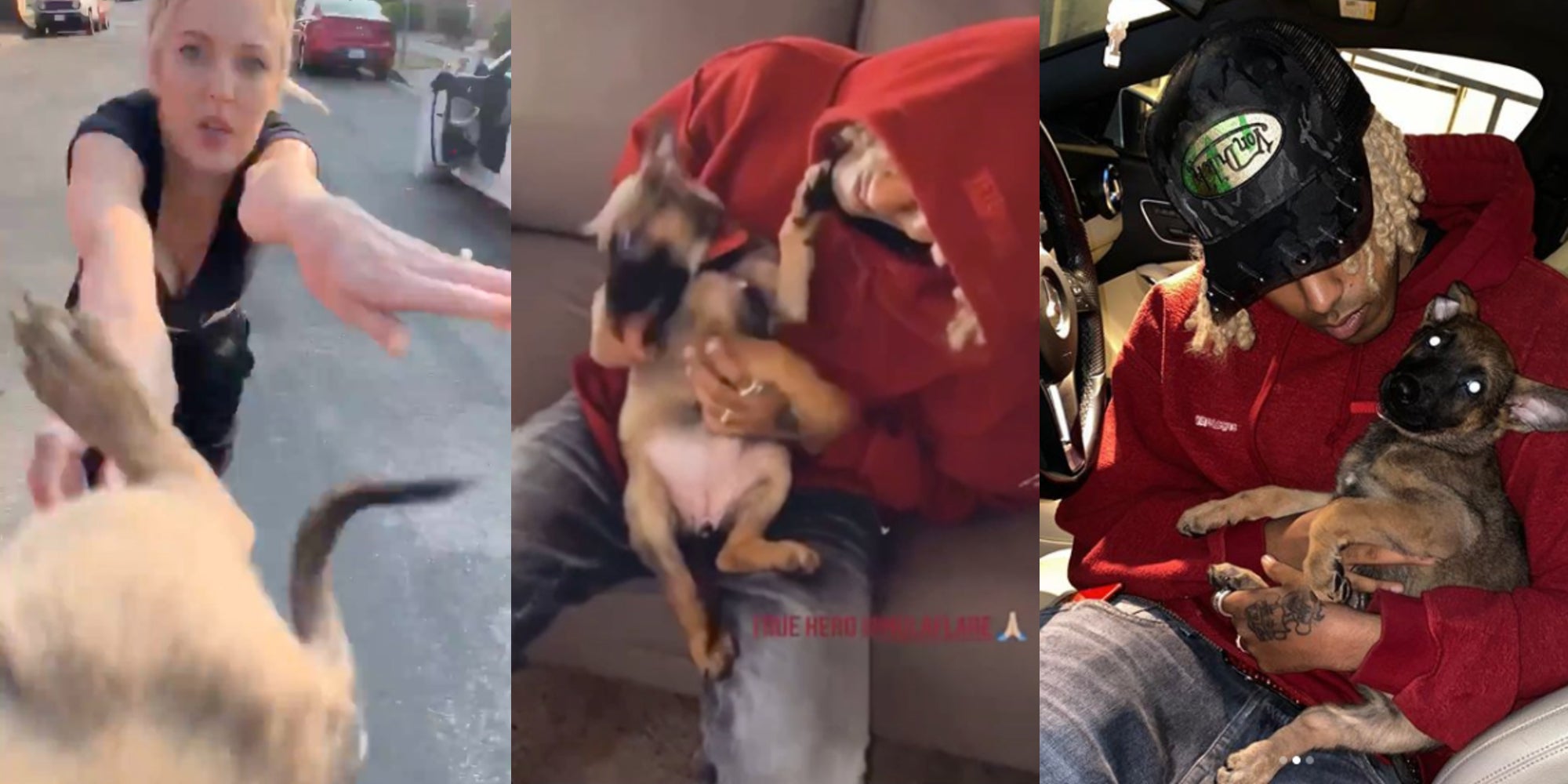 Man Shares Update on Puppy that Woman Threw at Him