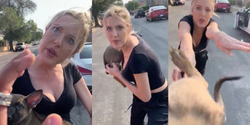 video woman throws dog