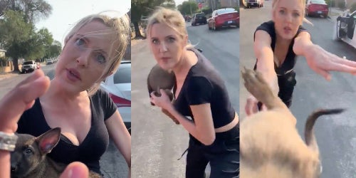 video woman throws dog