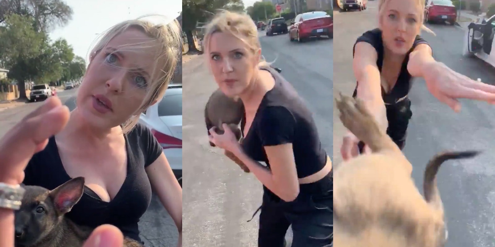 video woman throws dog