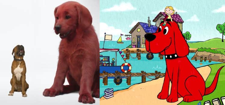 🔥 25+ best memes about christmas dog Internet Culture Newsletter: 'Clifford' Memes and Netflix Christmas Movies