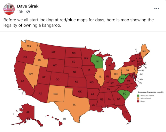 "Before we all start looking at red/blue maps for days, here is map showing the legality of owning a kangaroo." the electoral college map coloured in green, red and orange for the different levels of kangaroo owning legality