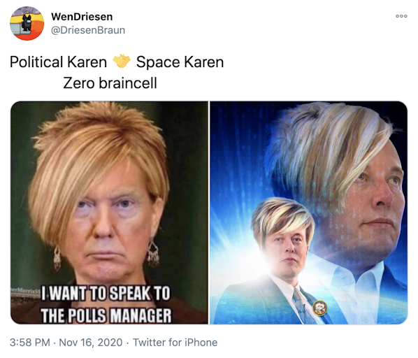 "Political Karen Handshake Space Karen                 Zero braincell" The President Karen meme next to the Elon Musk Karen against the starburst meme