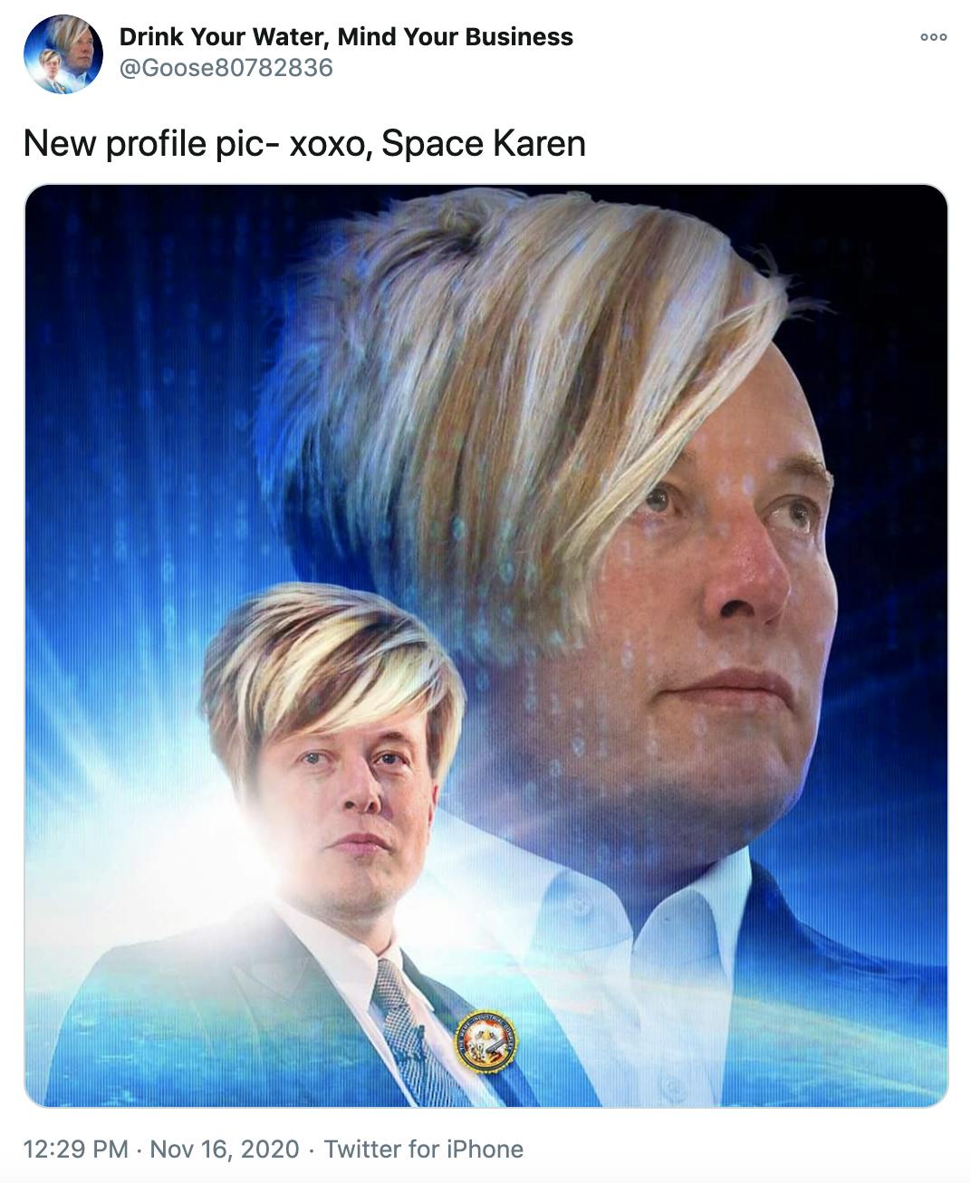 'New profile pic- xoxo, Space Karen' image of Elon Musk against a starburst with the Karen haircut, looking off to the side. A smaller version of the same image facing the other way in front.