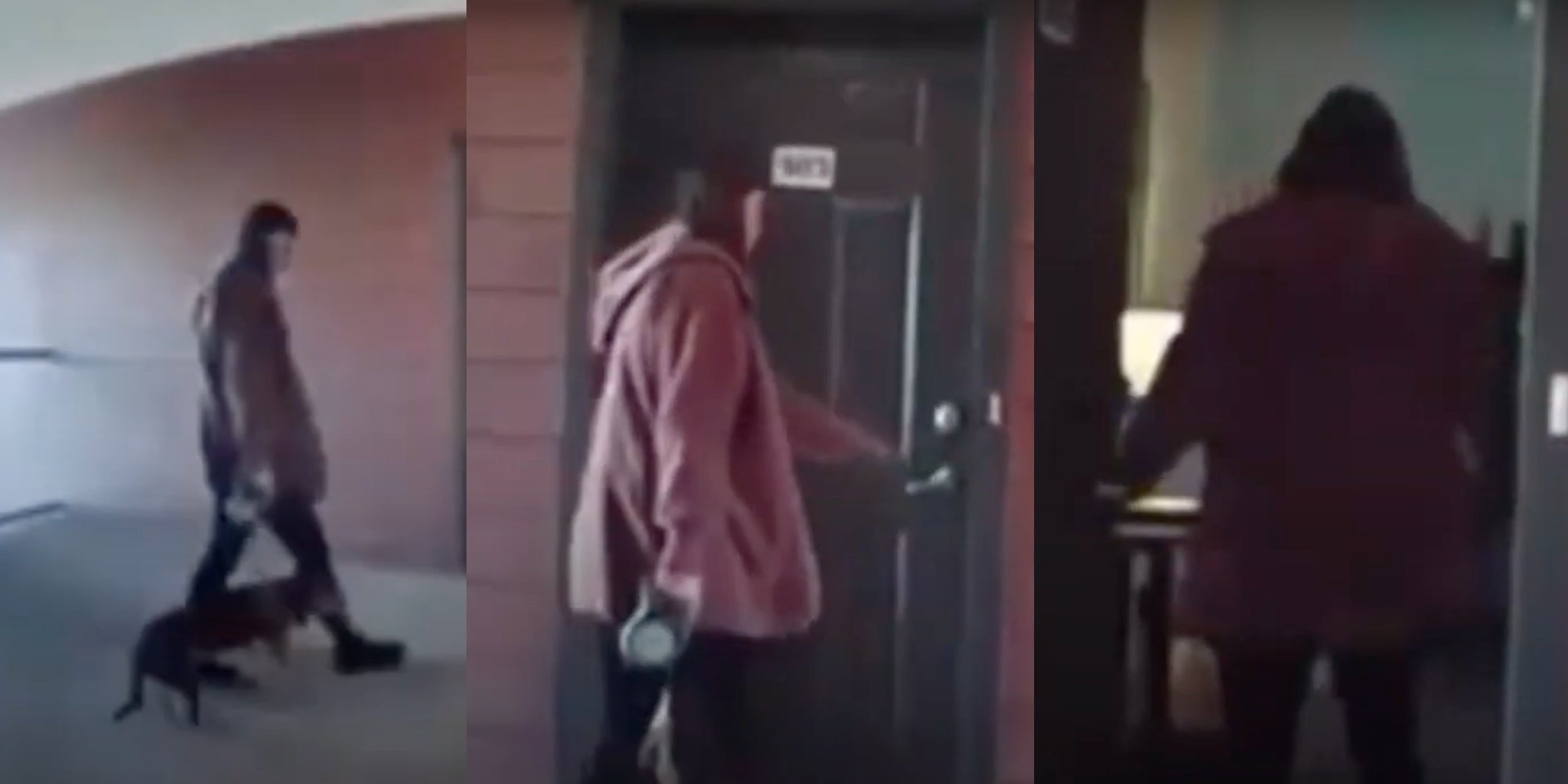 Woman Arrested After Ring Camera Caught Her Abusing Dog