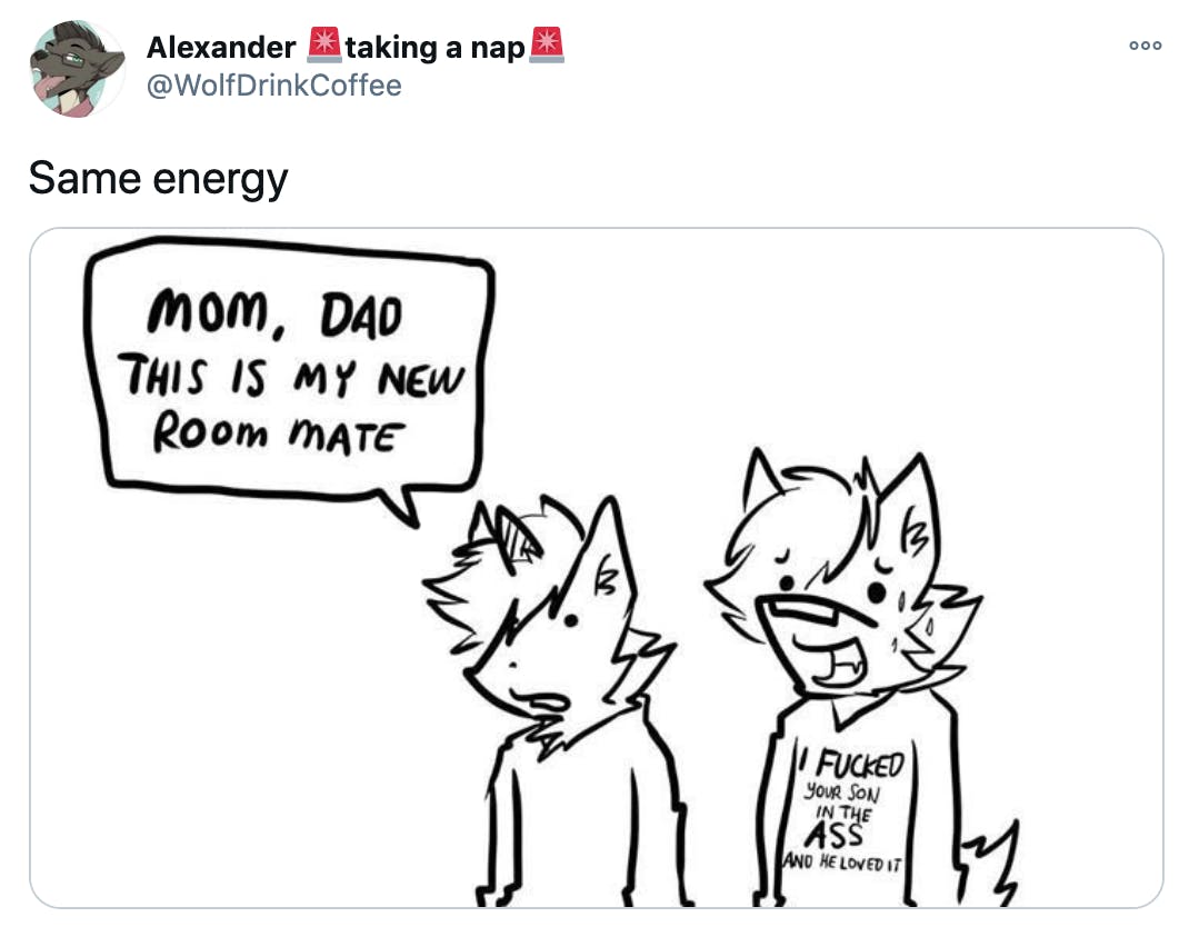 Cartoon drawing of a furry couple, one says 'Mon, Dad, this is my new room mate' and the other is wearing a t shirt saying 'I fucked your son in the ass and he loved it'