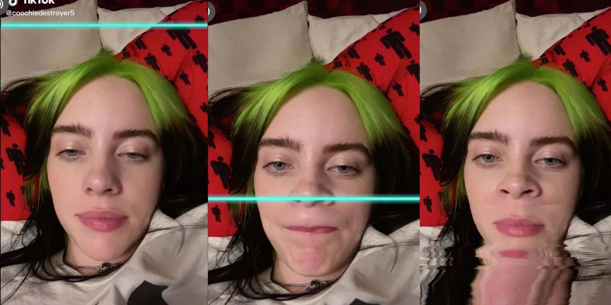 Billie Eilish Fans Love Her Alleged New TikTok Username