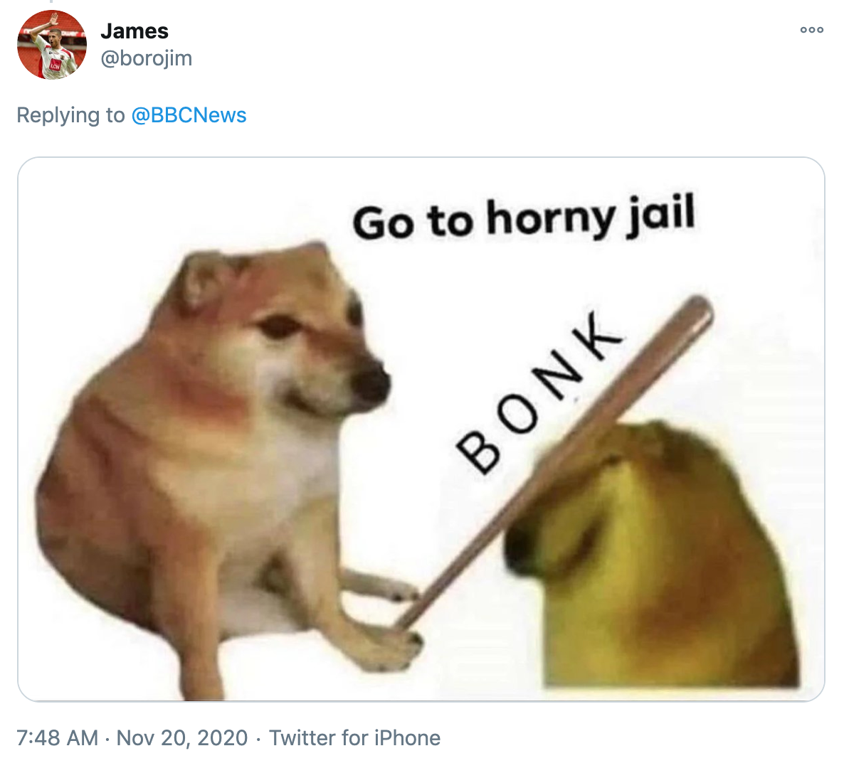 image of one shiba inu bonking another over the head with a bat labelled go to horny jail