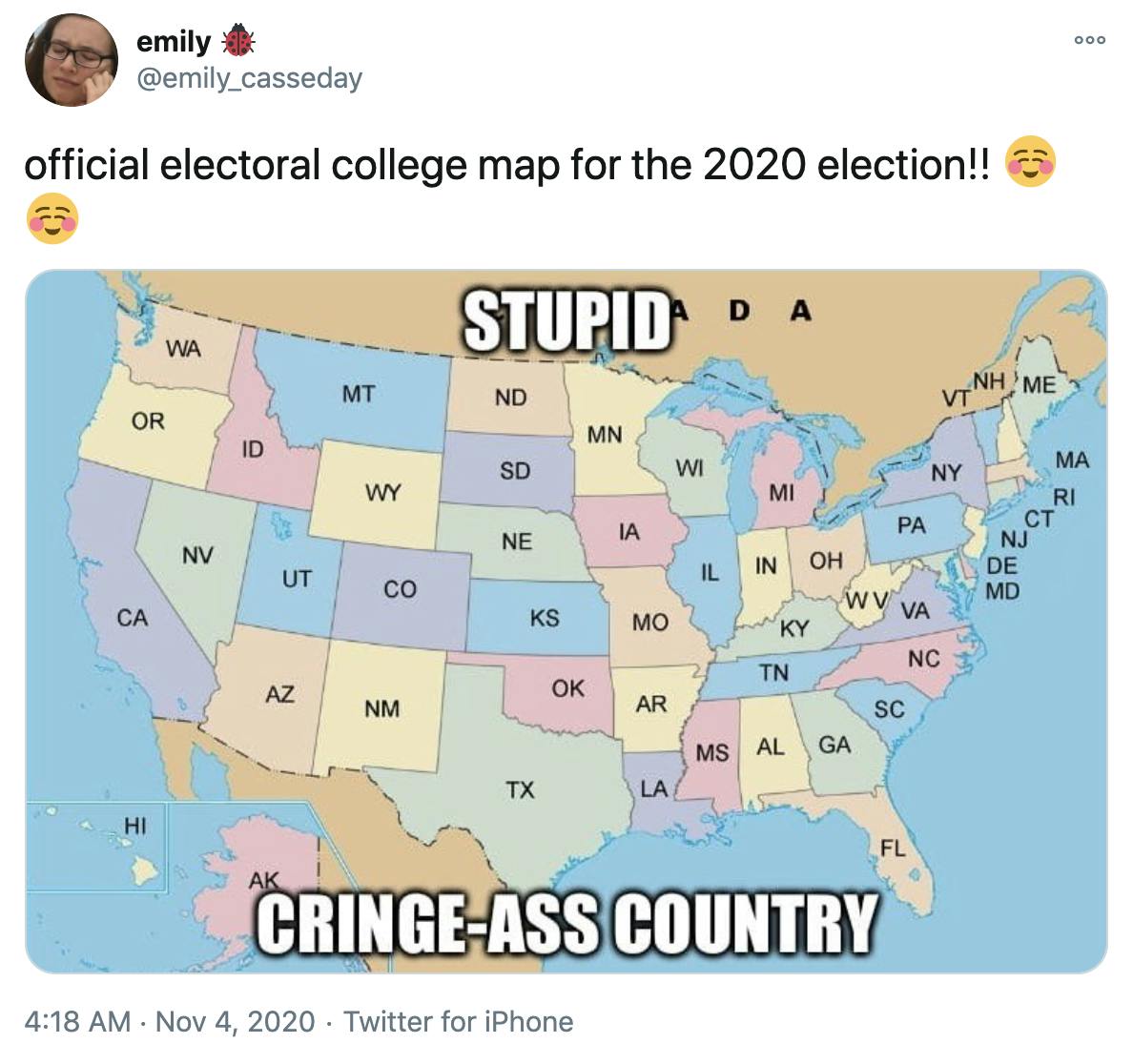 'official electoral college map for the 2020 election!! Smiling face' each state is a different pastel colour and the map is labelled 'stupid ass country'