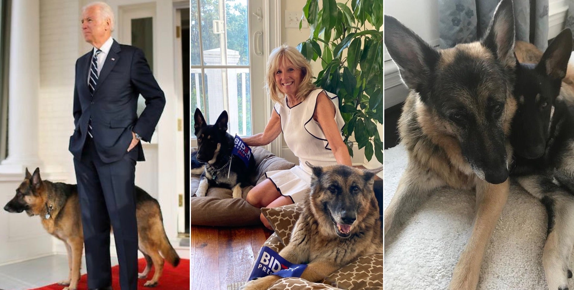 Joe Biden dogs Twitter