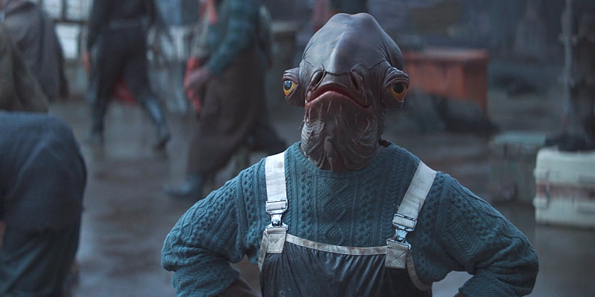 The Star Of The Latest 'Mandalorian' Episode was a Fisherman Sweater