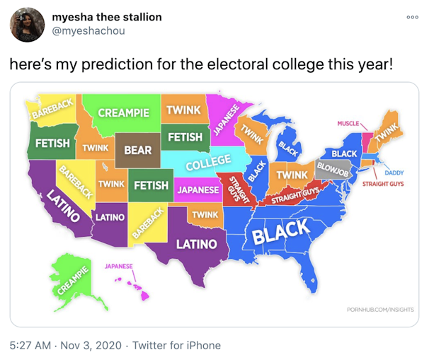 "here’s my prediction for the electoral college this year!" the electoral college map with multiple colours reflecting the preferred porn catagory for each state