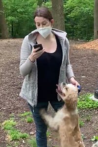 woman chokes her dog while dialing 911