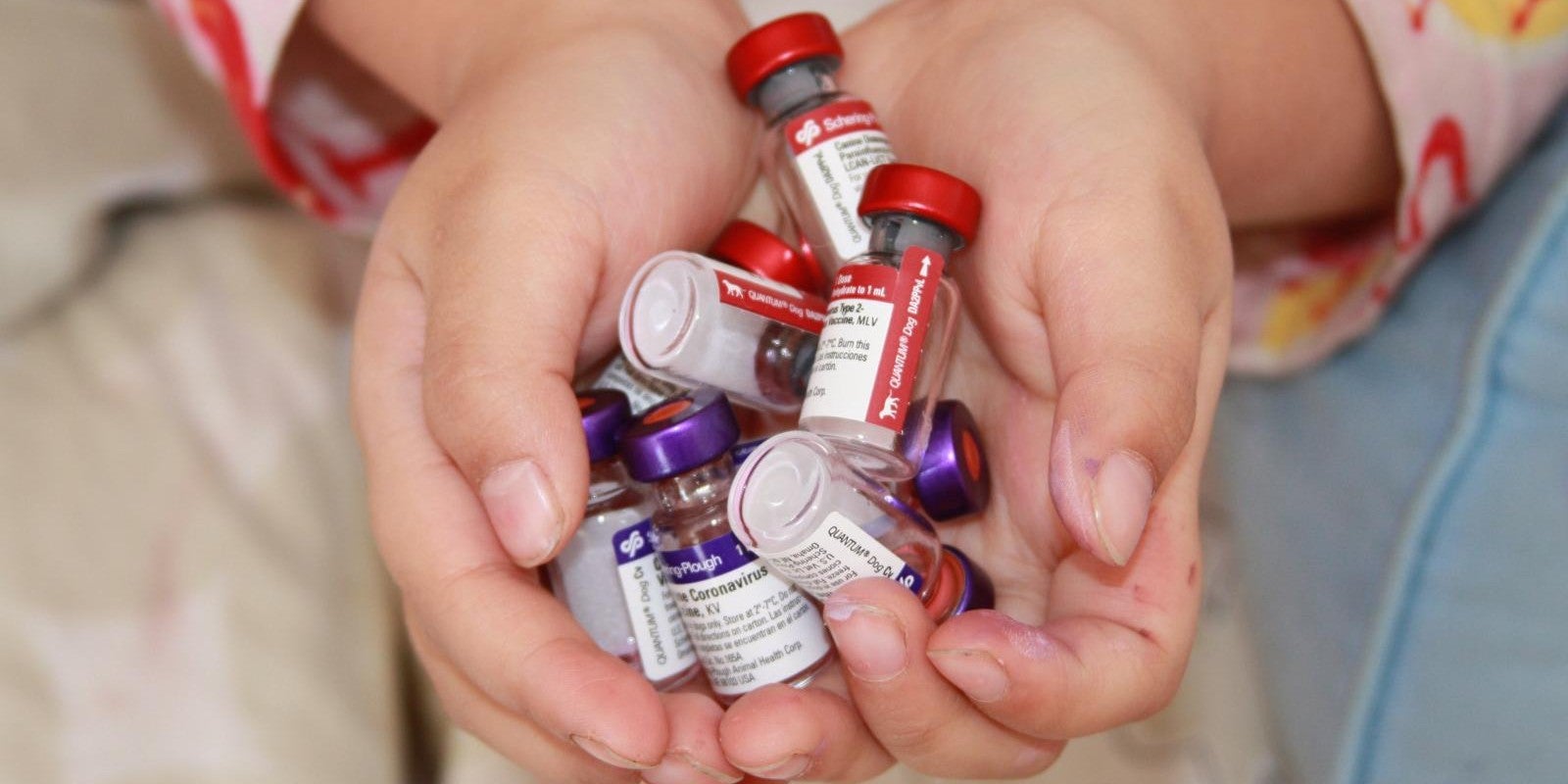 person holding vials of coronavirus vaccine