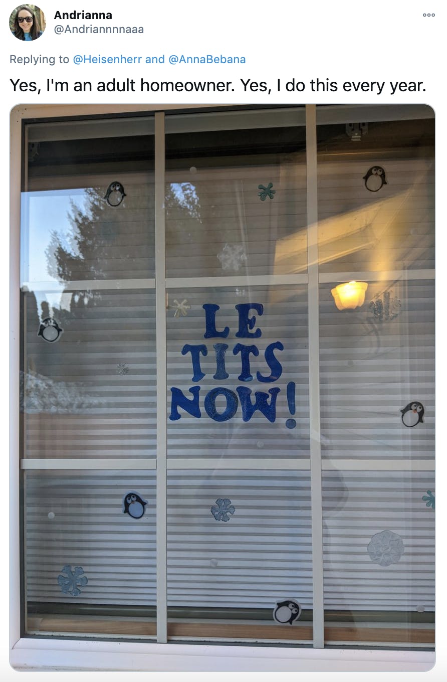'Yes, I'm an adult homeowner. Yes, I do this every year.' photograph of a window with 'le tits now' in the centre in blue decals