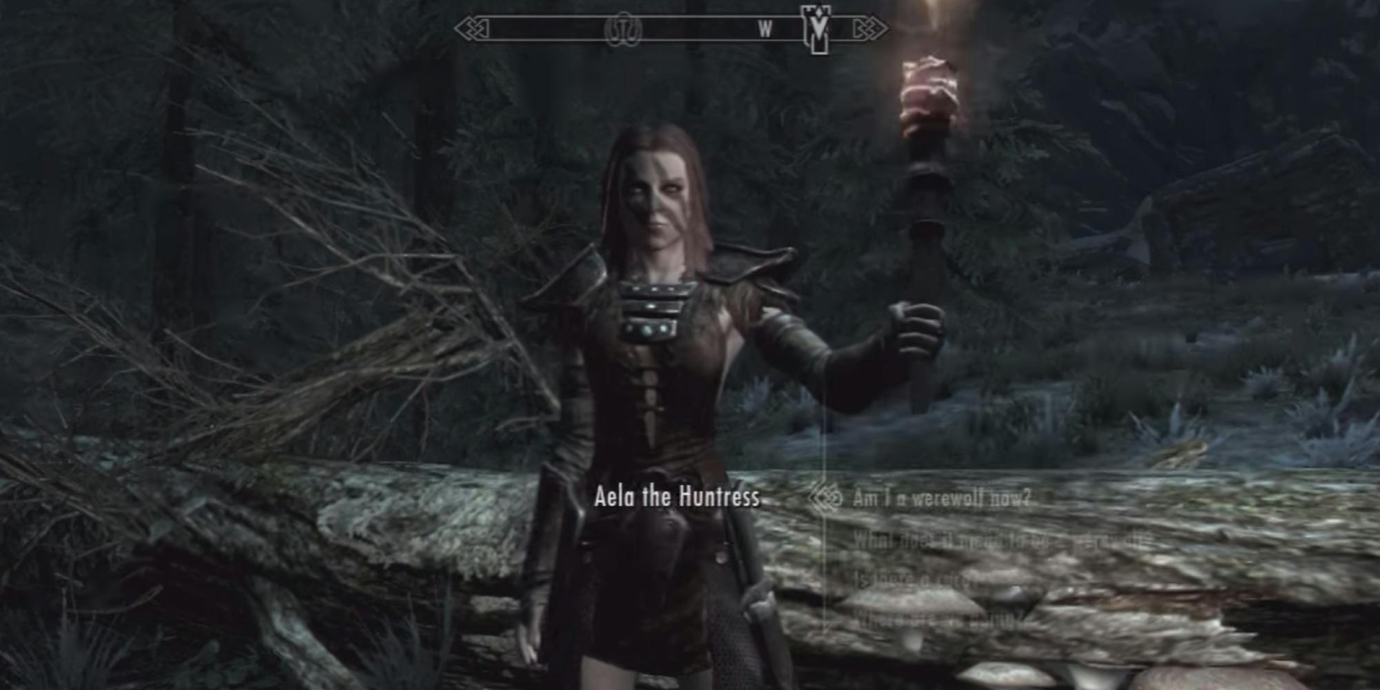 Skyrim Aela stuck in T-pose - Now with solution! 