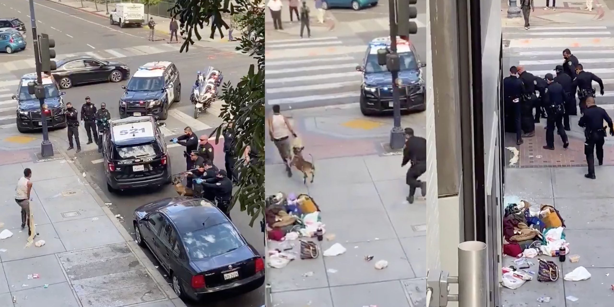 Video Police Shoot Set Dog Loose On Homeless Woman Video Police Shoot Set Dog Loose On Homeless Woman