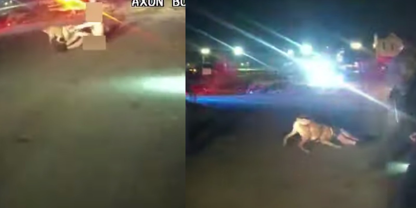 Bodycam footage shows the K9 pulling at Washington's leg