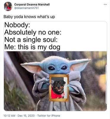 What Baby Yoda Meme Applies To You What Baby Yoda Meme Applies To You