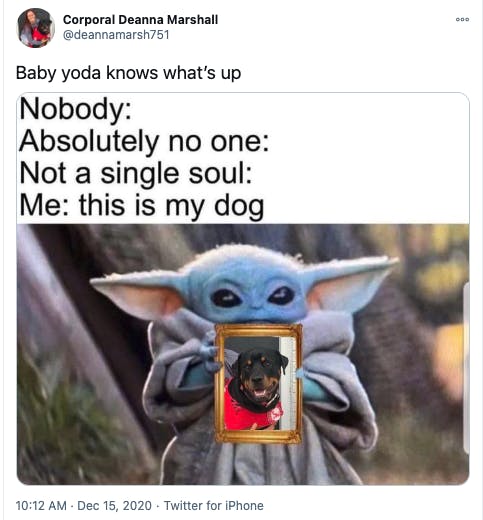 Meme showing Baby Yoda holding up a photo of a dog.