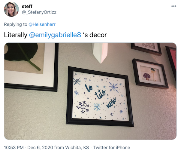 "Literally  @emilygabrielle8  ‘s decor" a framed piece of art featuring snowflakes and the words le tits now in blue