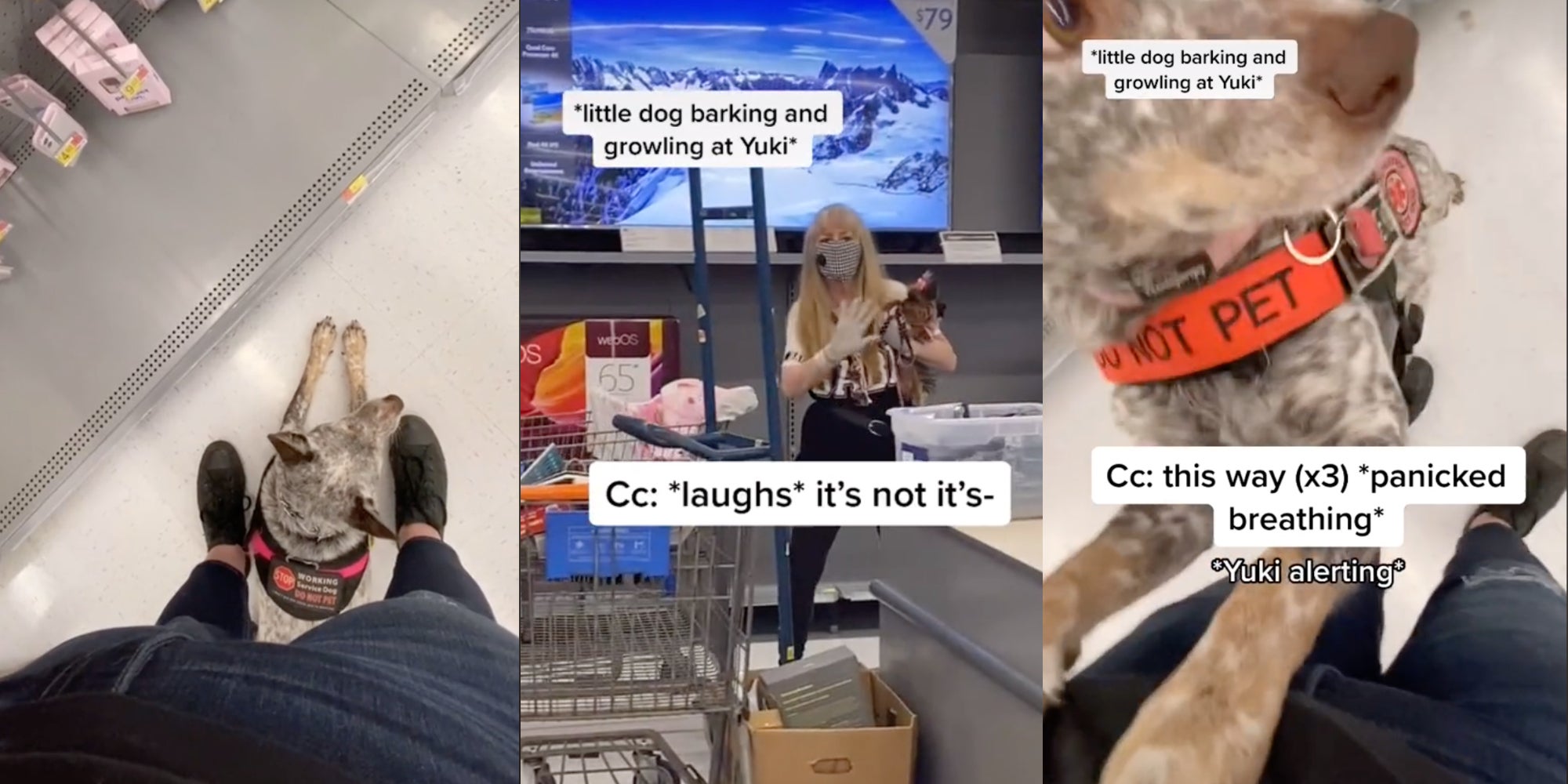 Walmart - service animal