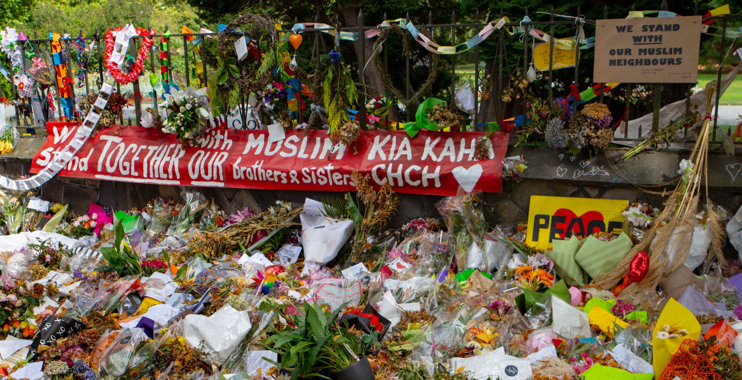 Homepage article image