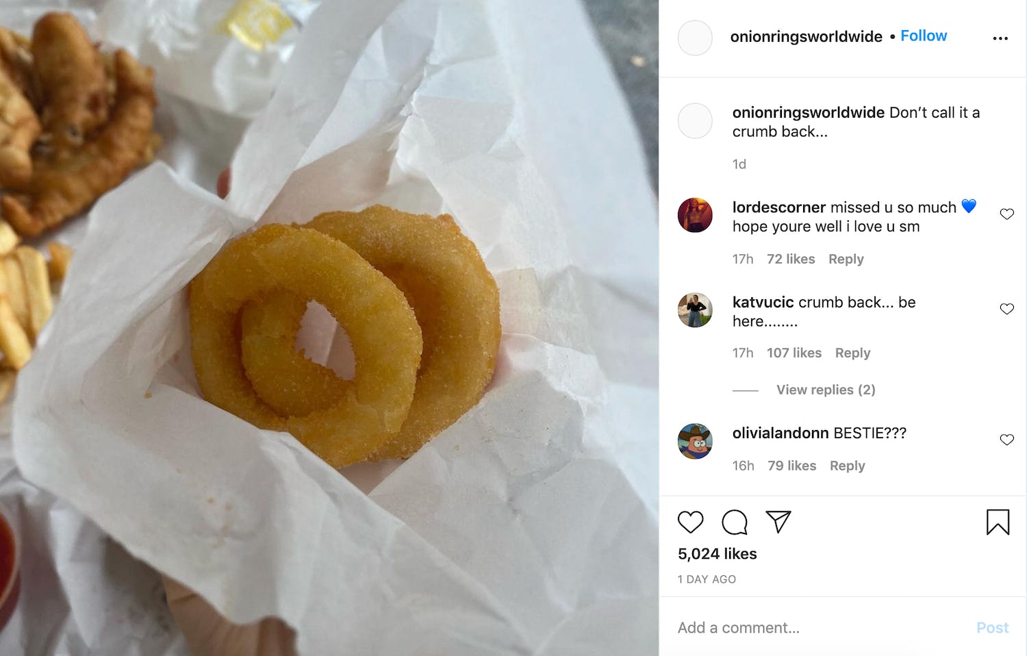 Picture of two pale onion rings against white paper with the caption 'Don’t call it a crumb back...'