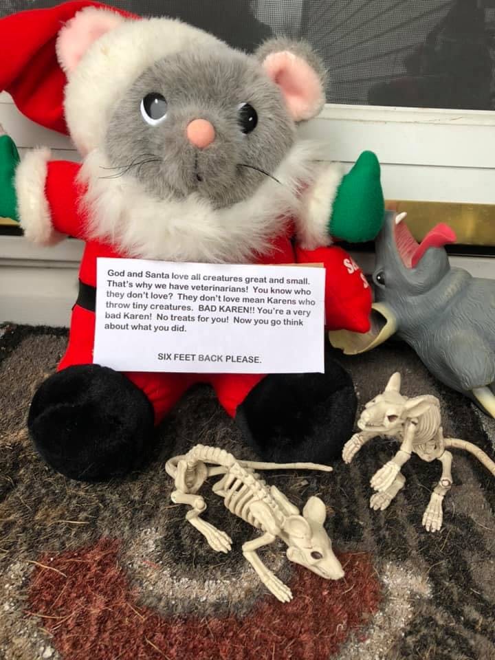 A very cute rat plushie dressed as Santa, surrounded by rat skeletons and holding the sign described above