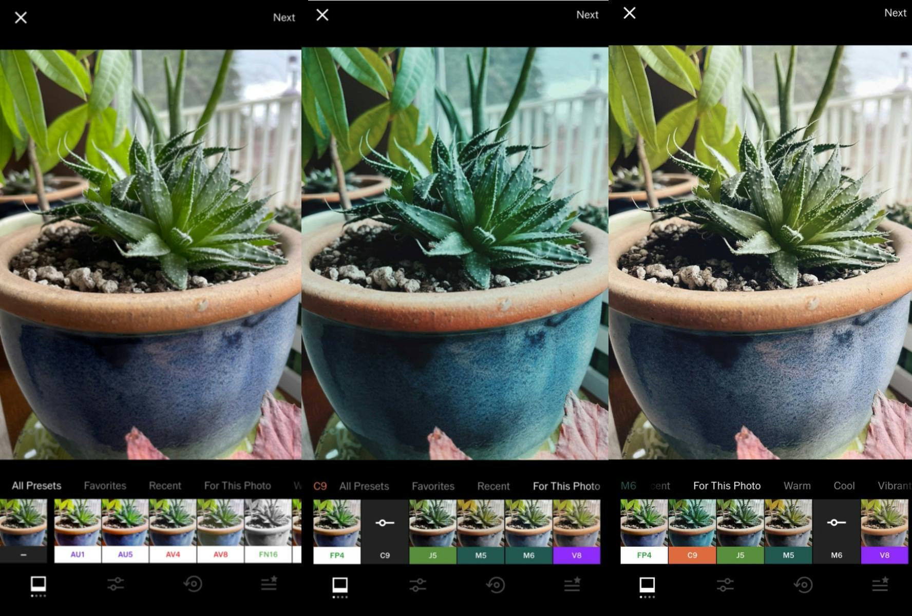 A plant photo being edited in VSCO