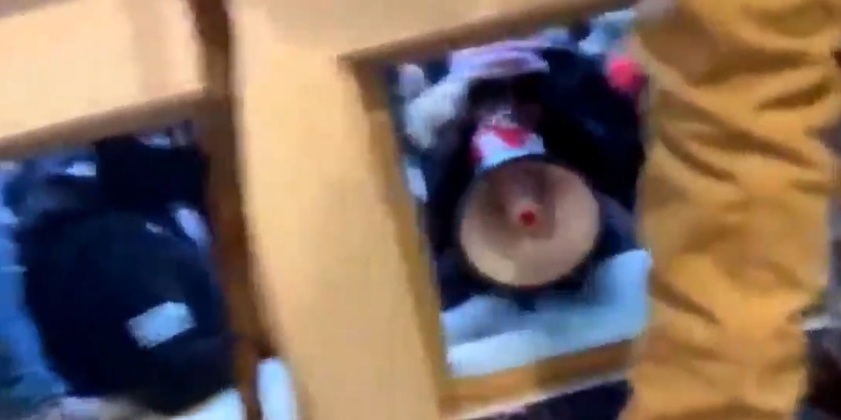 'Bullhorn Lady' Gives Detailed Instructions in Viral Video of Capitol Riots