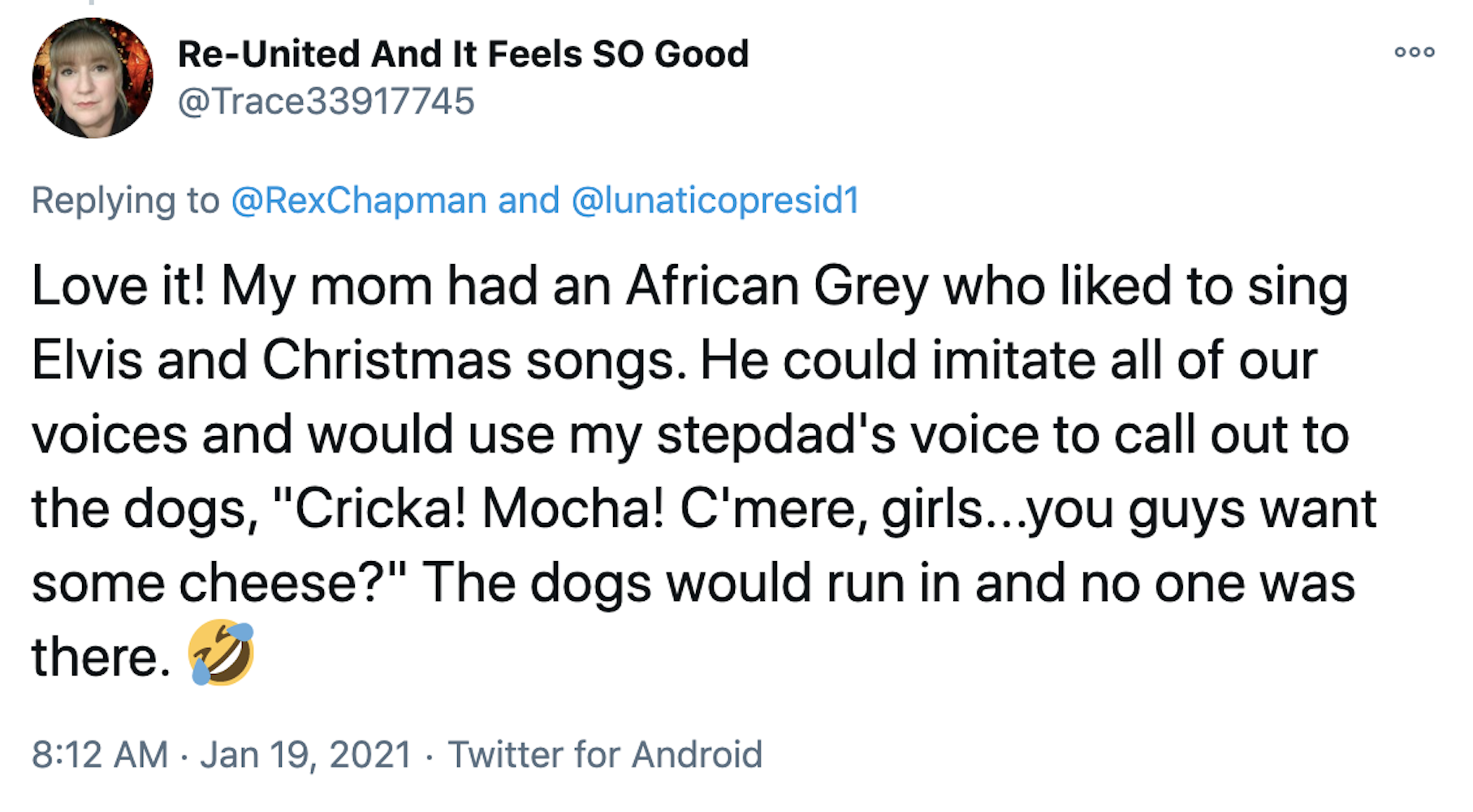 Love it! My mom had an African Grey who liked to sing Elvis and Christmas songs. He could imitate all of our voices and would use my stepdad's voice to call out to the dogs, "Cricka! Mocha! C'mere, girls...you guys want some cheese?" The dogs would run in and no one was there. 🤣