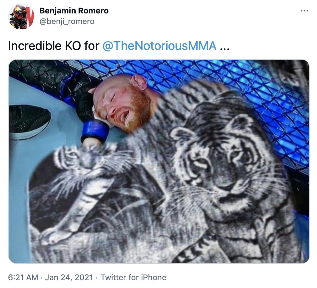 'Incredible KO for @TheNotoriousMMA ...' McGregor with a black and white fuzzy blanket featuring a pair of tigers photoshopped over him