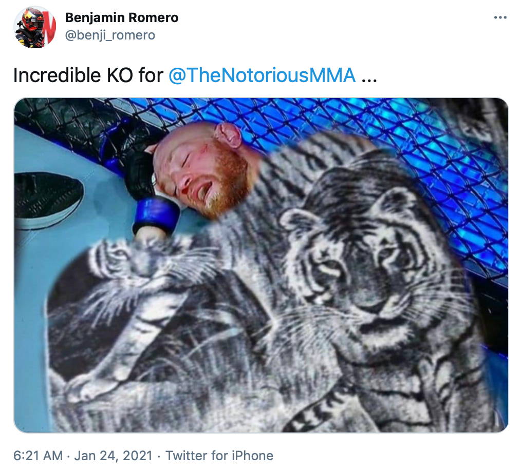 'Incredible KO for @TheNotoriousMMA ...' McGregor with a black and white fuzzy blanket featuring a pair of tigers photoshopped over him