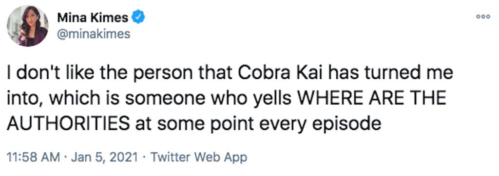 cobra kai fandom memes