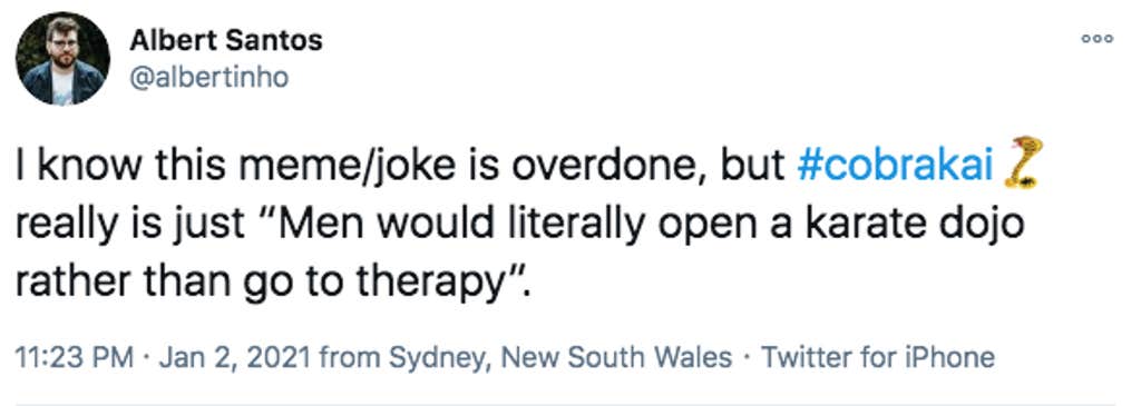 cobra kai fandom memes