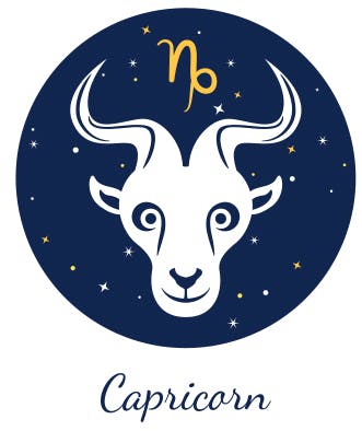 Capricorn's symbol the Goat (or SeaGoat).