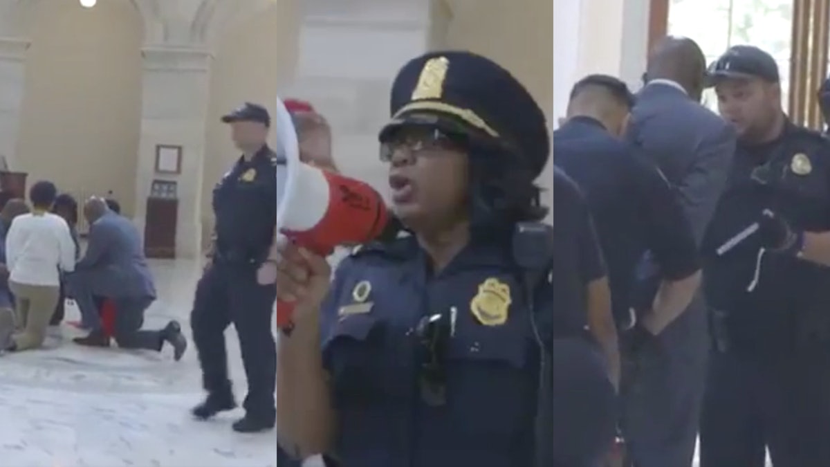 Video of Raphael Warnock's arrest resurfaces after Capitol riot