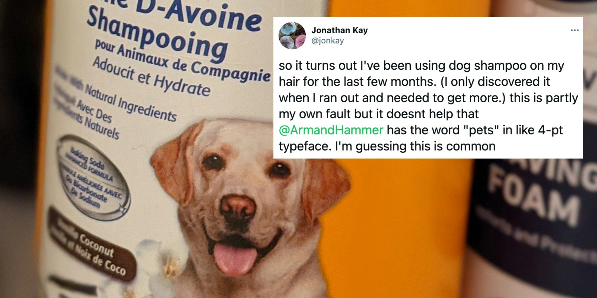 A dog shampoo bottle and a tweet from Jonathan Kay