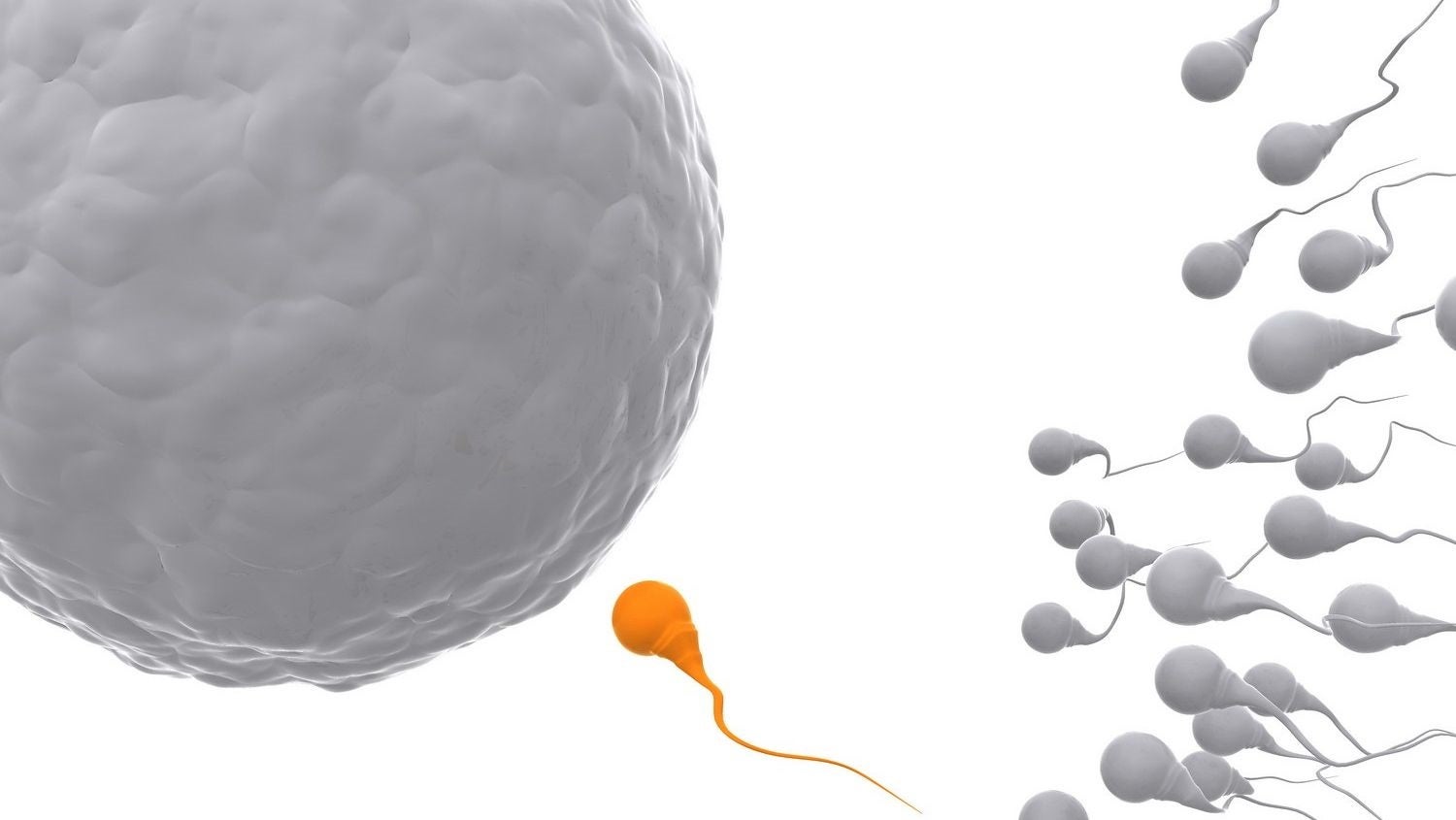 sperm_donations_coronavirus_pandemic