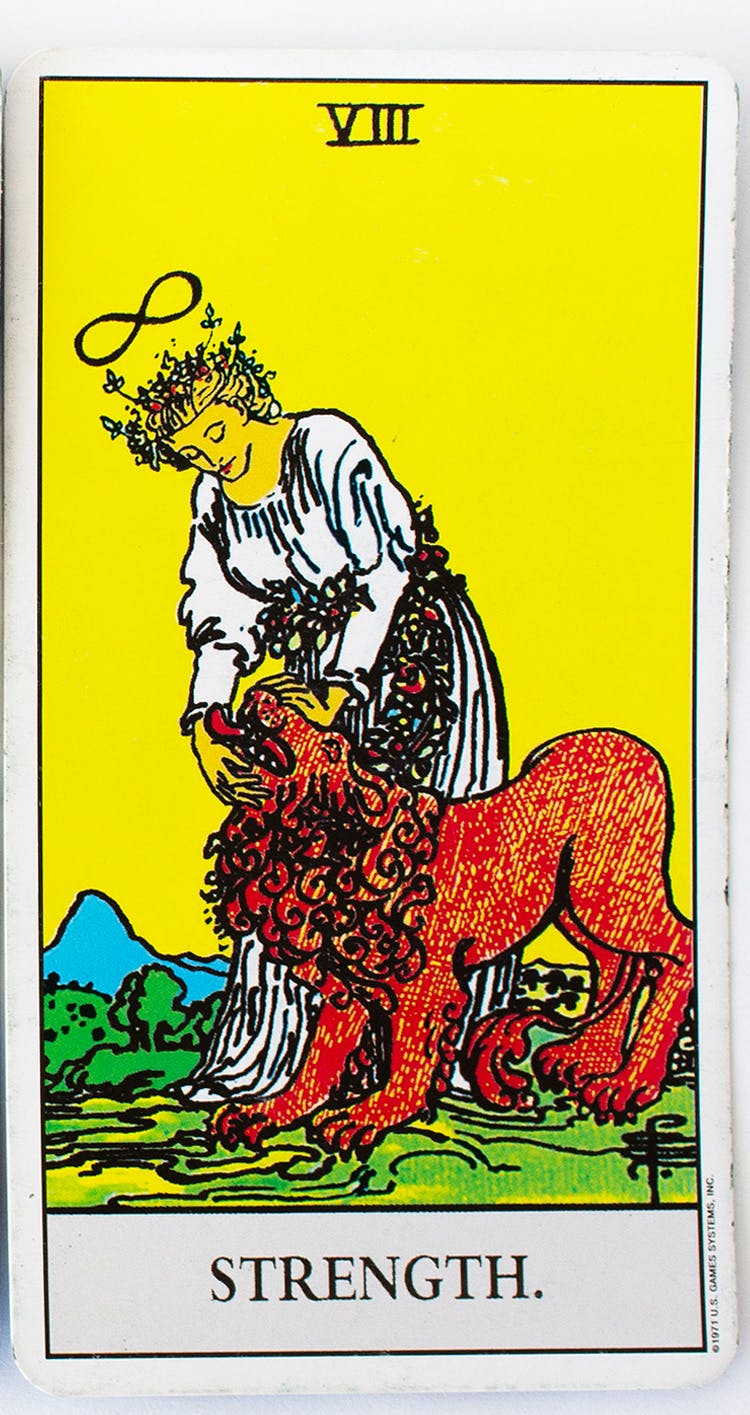 The strength card in the Rider-Waite tarot deck. Features an image of a woman gently strokes a lion on its forehead and jaw. The woman is wearing white and has an infinity symbol above her head.