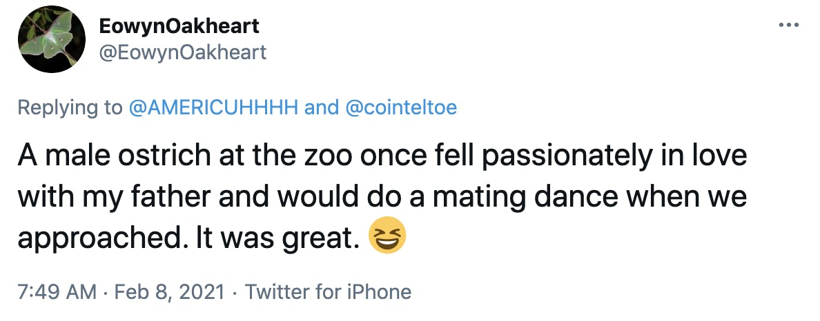 A male ostrich at the zoo once fell passionately in love with my father and would do a mating dance when we approached. It was great. Smiling face with open mouth and tightly-closed eyes
