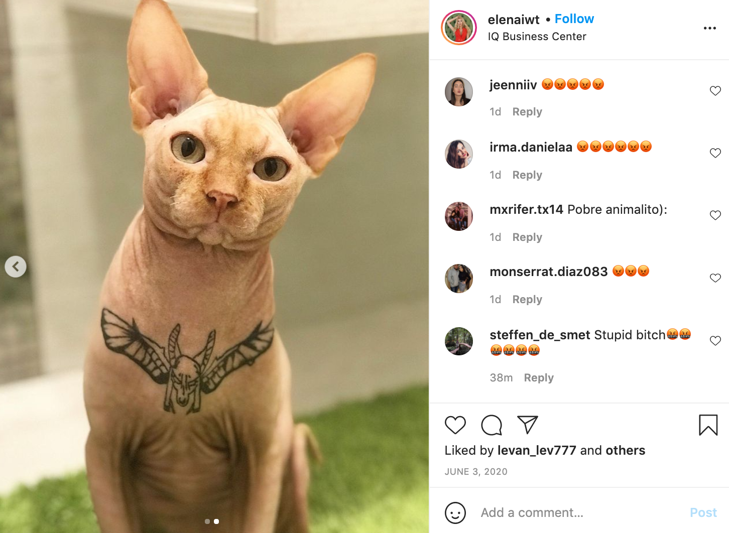 Amazoncom  OSmile2 Sphynx Hairless Cat Tattoo Shirt Breathable Imitation  Pure Cotton Kitten Winter Outfit with Sleeves for Sphynx Cornish Rex Devon  Rex Peterbald M  Pet Supplies