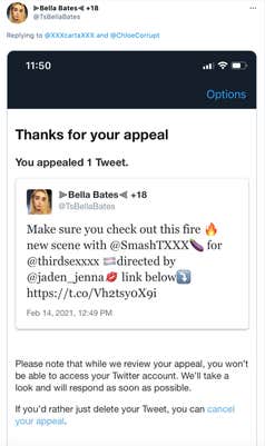 Screenshot featuring a tweet by Bella Bates advertising porn content and a message from Twitter acknowledging they're reviewing her ban appeal