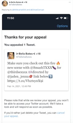 Screenshot featuring a tweet by Bella Bates advertising porn content and a message from Twitter acknowledging they're reviewing her ban appeal